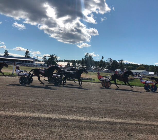 festivels-img festivels-img